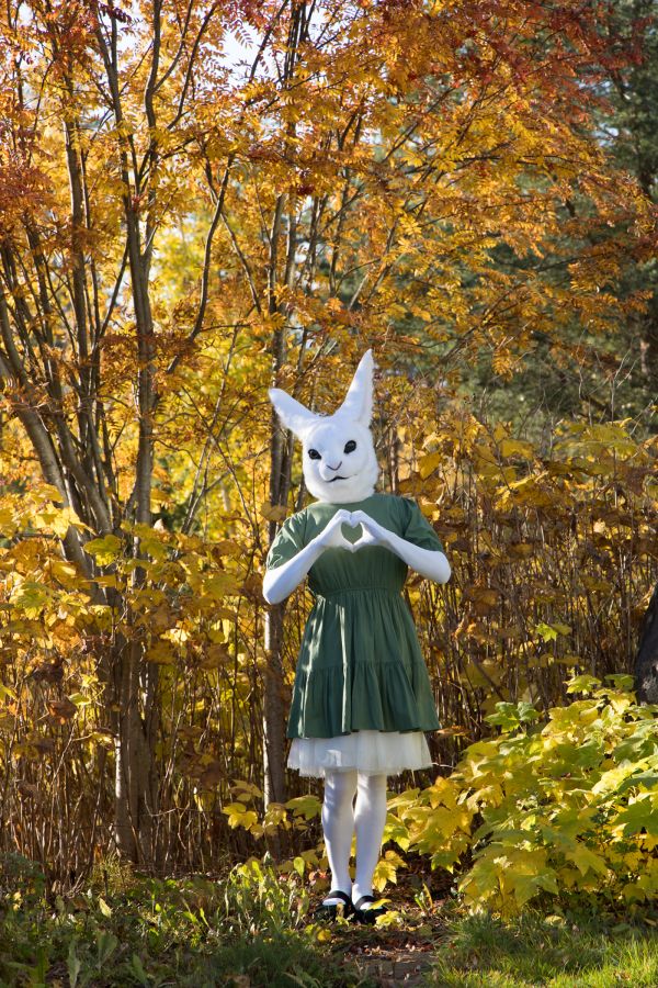 FinFur Animus 2024, Lumie bunny