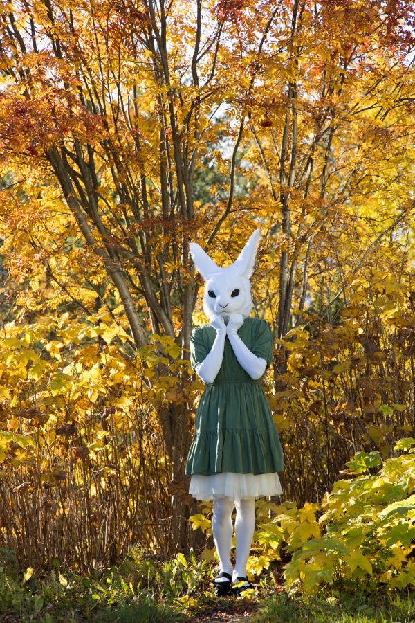 FinFur Animus 2024, Lumie bunny