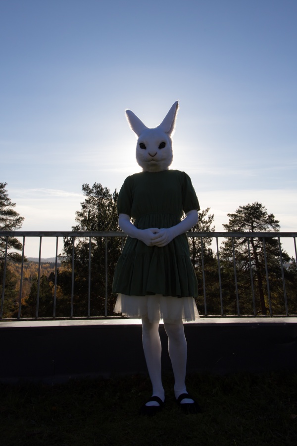 FinFur Animus 2024, Lumie bunny