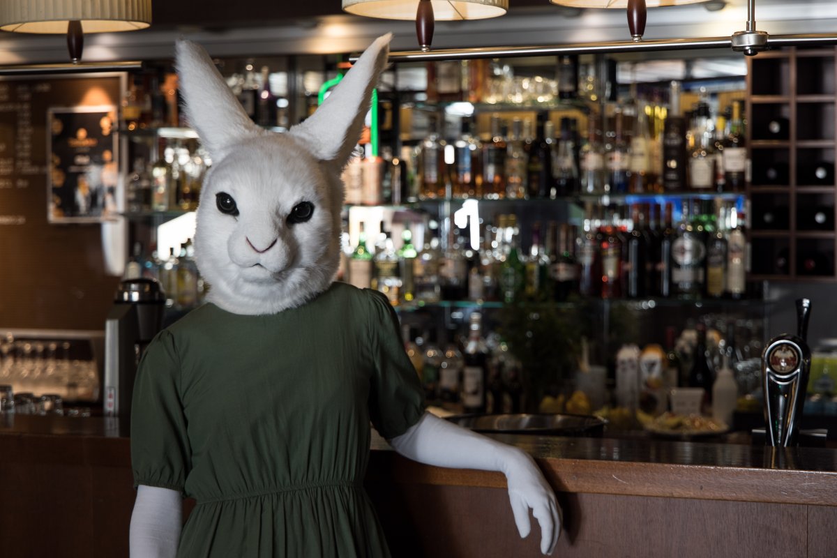 FinFur Animus 2024, Lumie bunny
