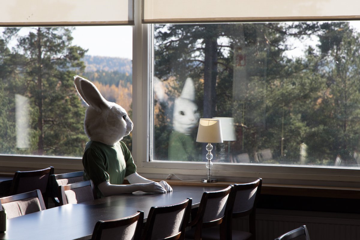 FinFur Animus 2024, Lumie bunny