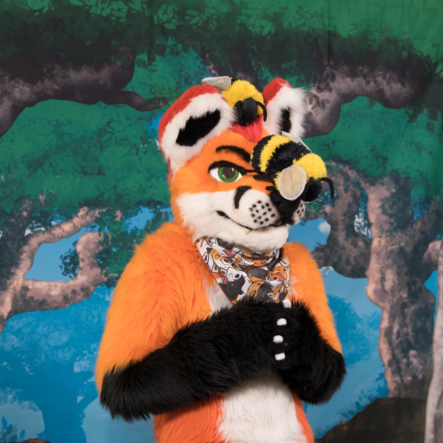 FinFur Animus 2024, Fursuits