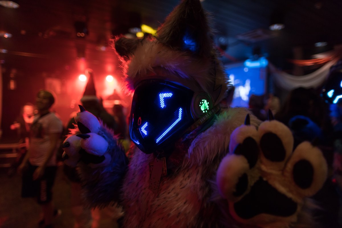 FinFur Animus 2024, Fursuits