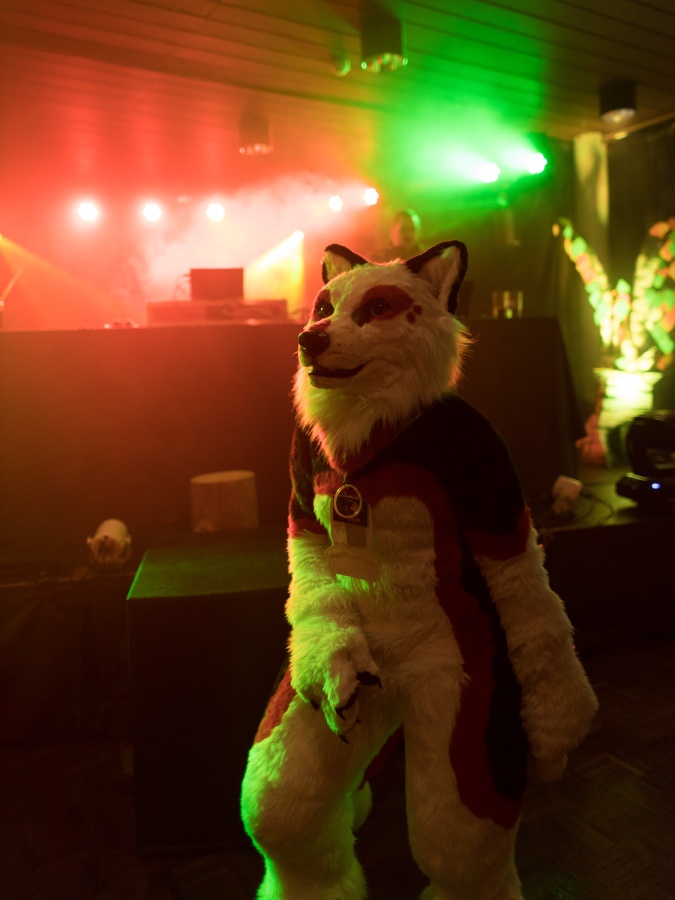 FinFur Animus 2024, Fursuits