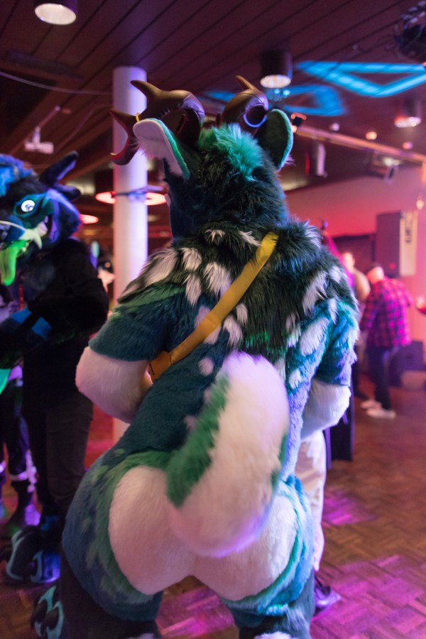 FinFur Animus 2024, Fursuits