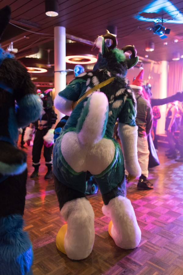FinFur Animus 2024, Fursuits