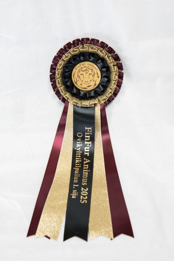 FinFur Animus 2025, Other photos