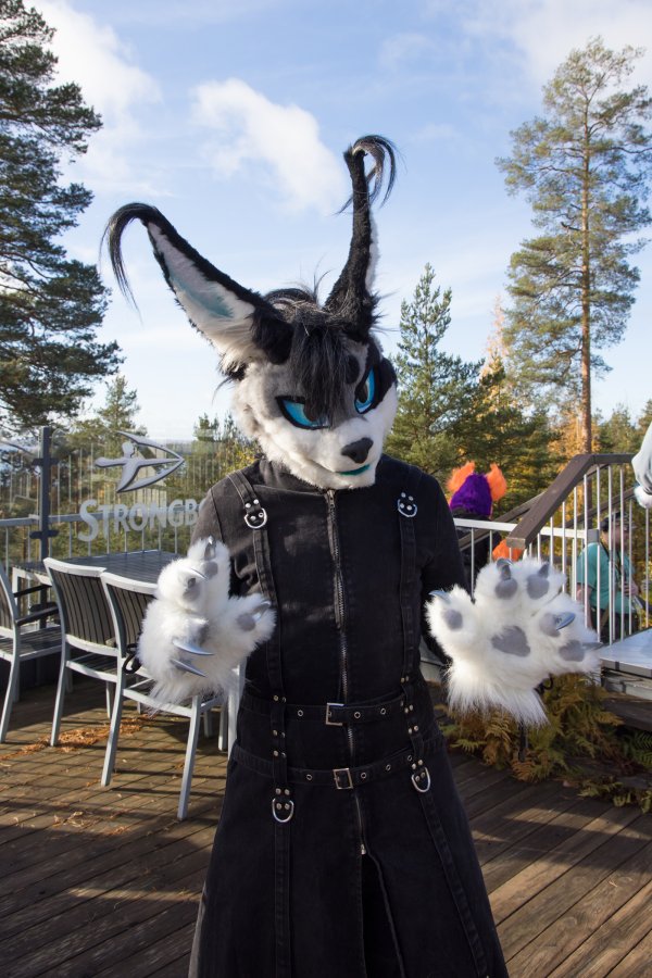 FinFur Animus 2025, Fursuits