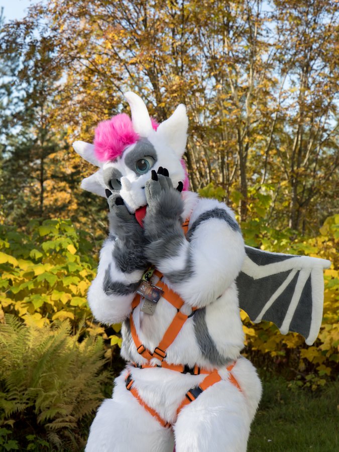 FinFur Animus 2025, Fursuits