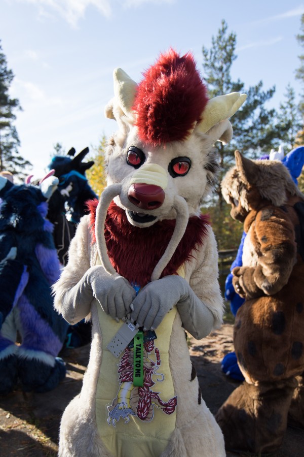 FinFur Animus 2025, Fursuits