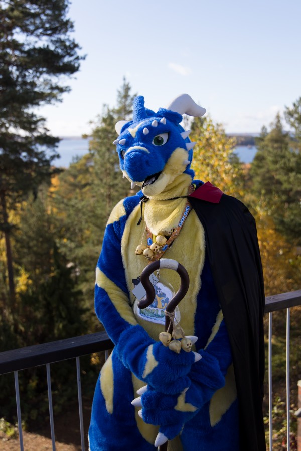 FinFur Animus 2025, Fursuits