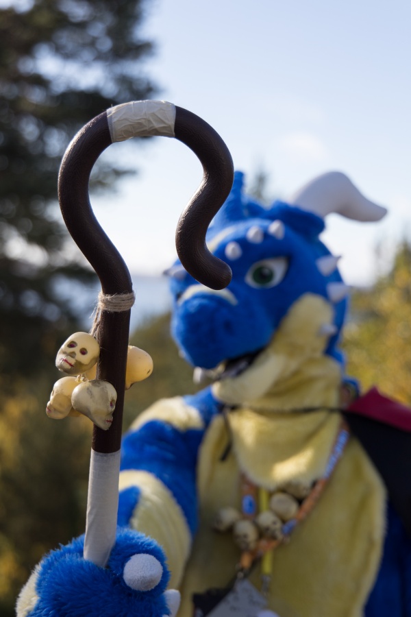 FinFur Animus 2025, Fursuits