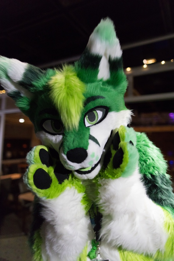 FinFur Animus 2025, Fursuits