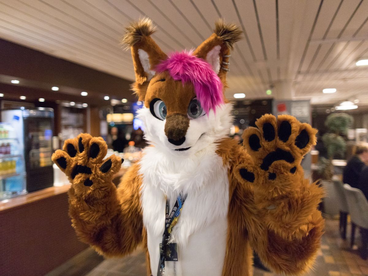 FinFur Animus 2025, Fursuits