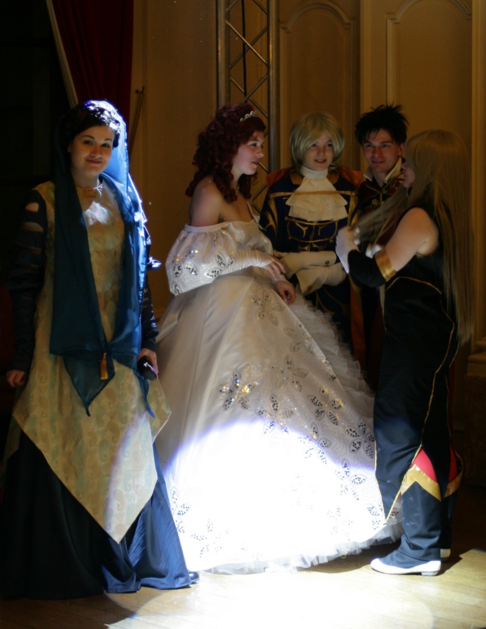 Belgian Cosplay Ball, The Ball