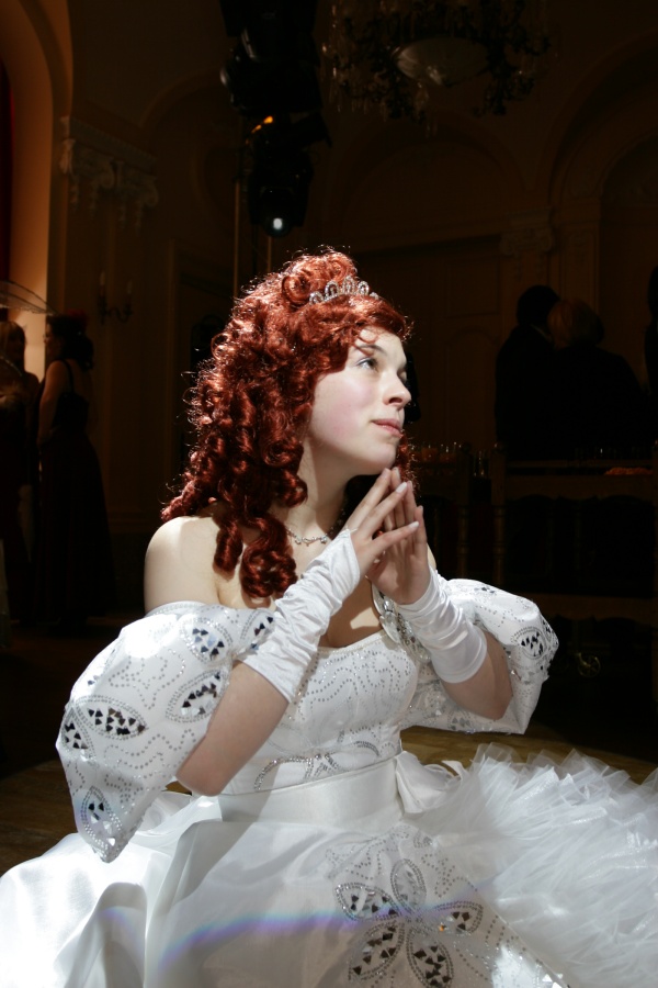 Belgian Cosplay Ball, The Ball