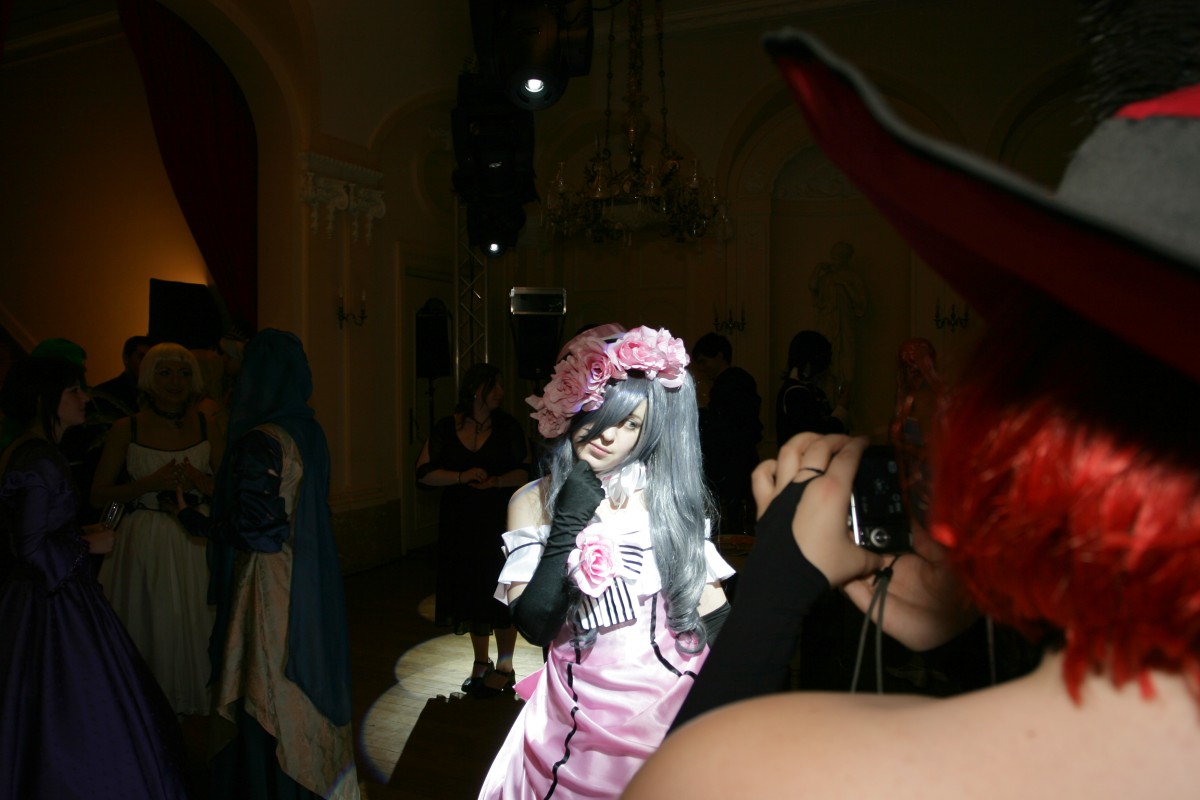Belgian Cosplay Ball, The Ball