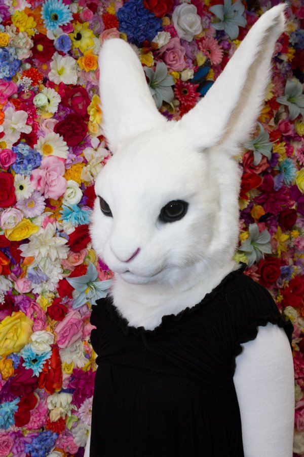 Studio Booty photoshoot, Lumie bunny