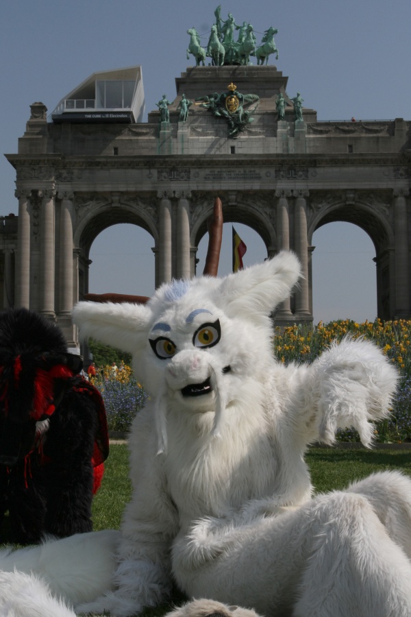 Belgium Strikes Back, Fursuiters in the park