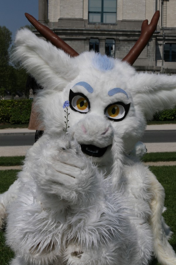 Belgium Strikes Back, Fursuiters in the park