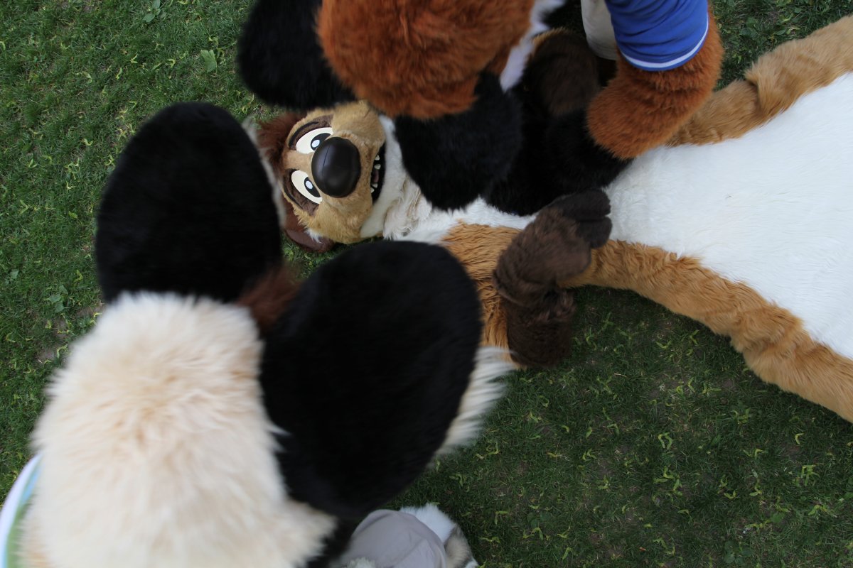 Belgium Strikes Back, Fursuiters in the park