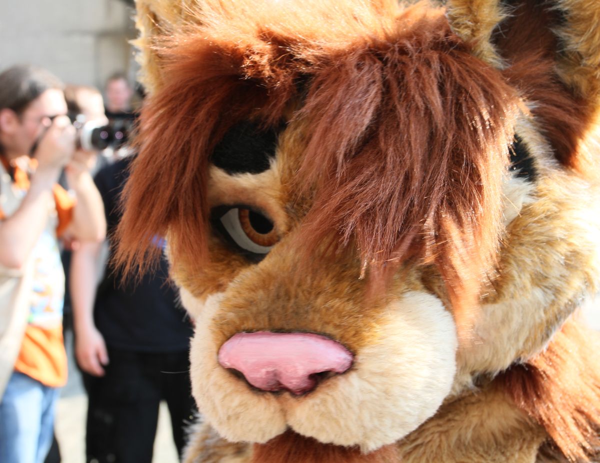 Belgium Strikes Back, Fursuiters in the park