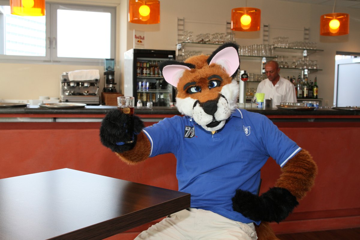 Belgium Strikes Back, Fursuit bowling