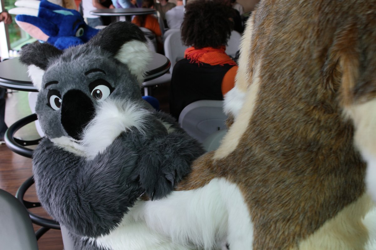 Belgium Strikes Back, Fursuit bowling
