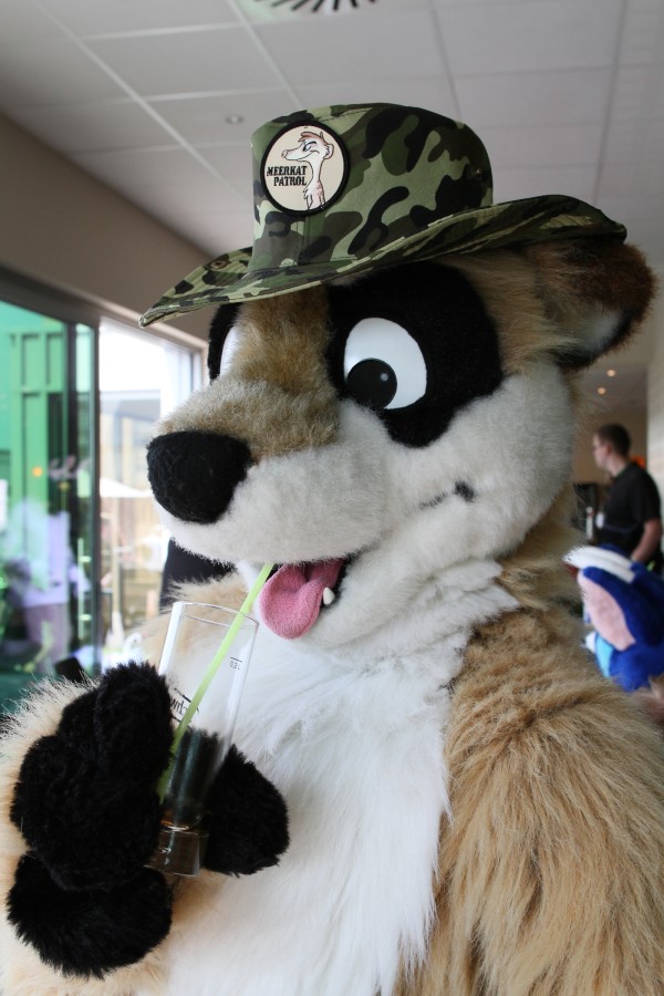 Belgium Strikes Back, Fursuit bowling