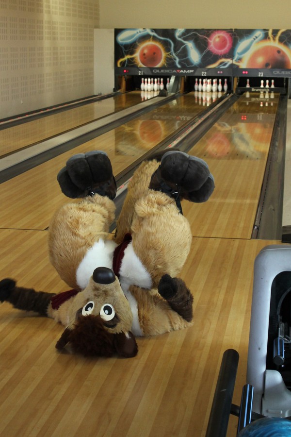 Belgium Strikes Back, Fursuit bowling