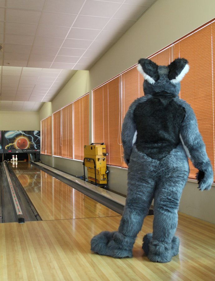 Belgium Strikes Back, Fursuit bowling