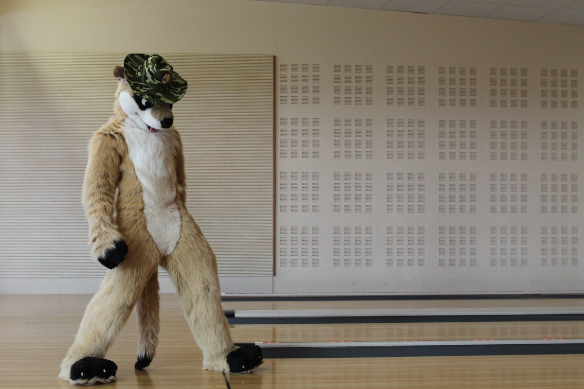 Belgium Strikes Back, Fursuit bowling