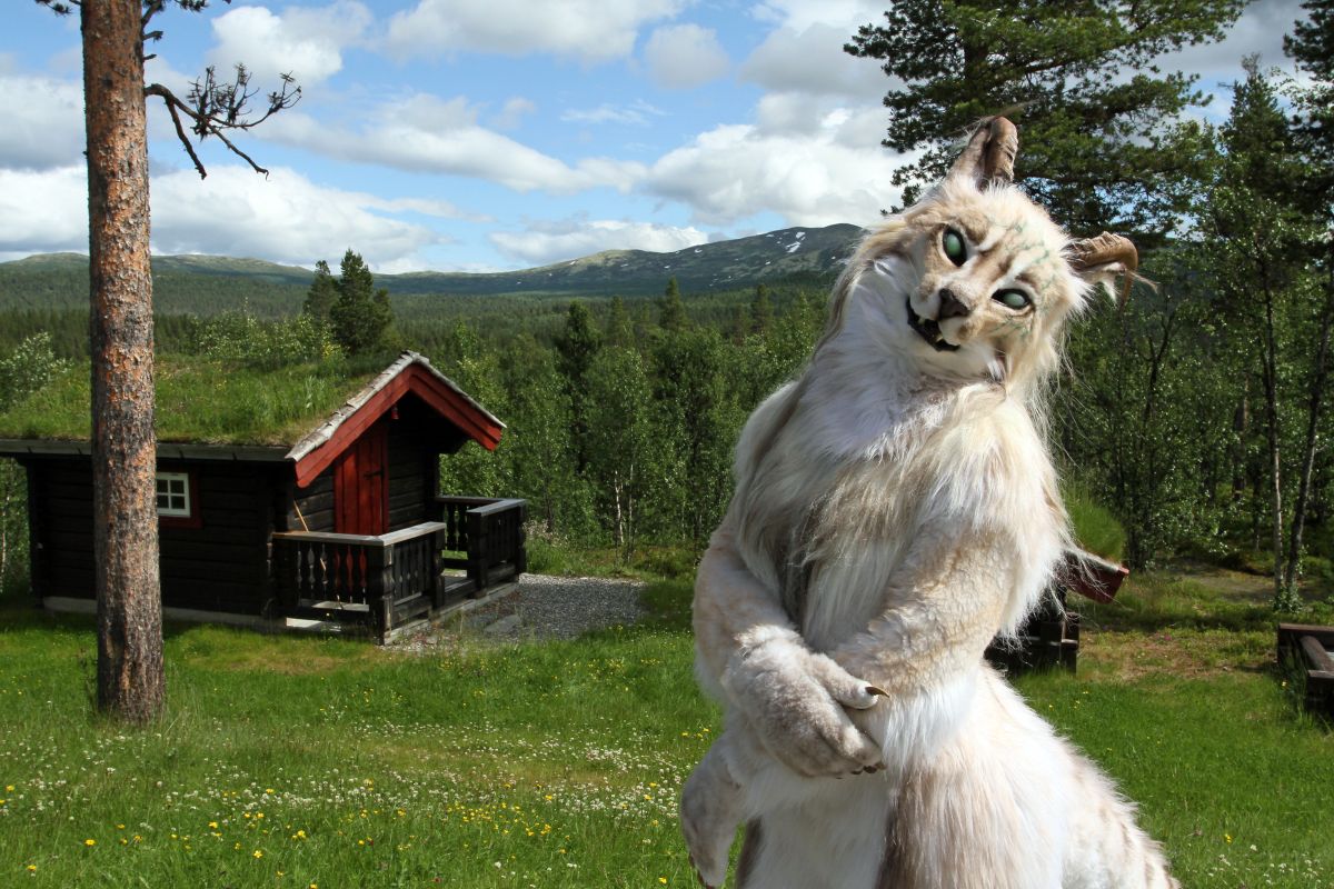 CabinCon 2015, Photoshoots