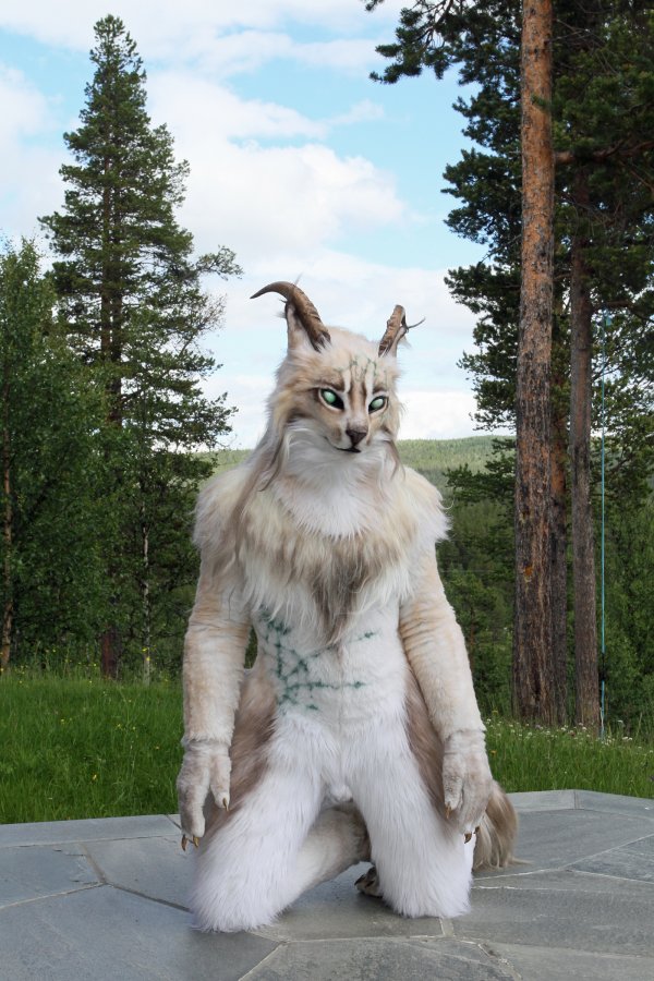 CabinCon 2015, Photoshoots