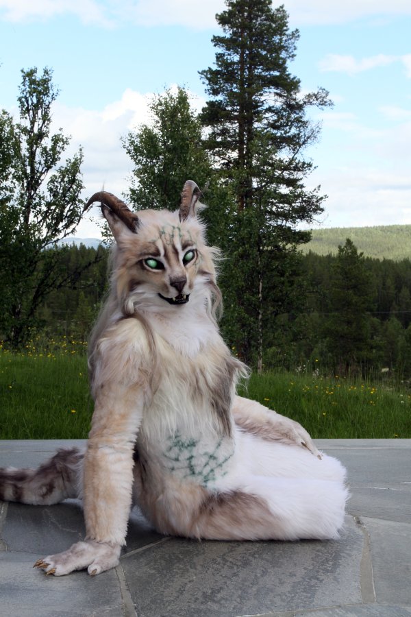 CabinCon 2015, Photoshoots