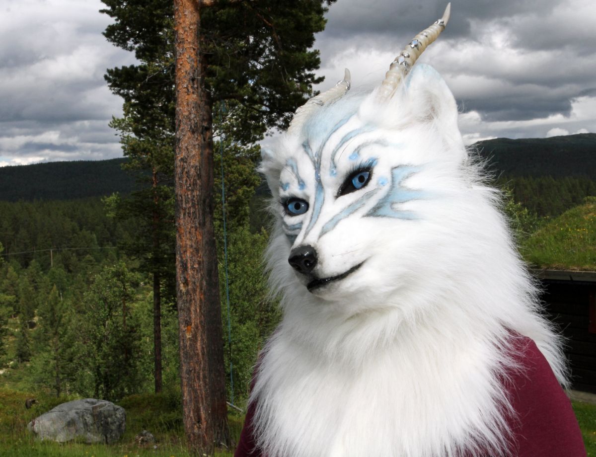 CabinCon 2015, Photoshoots