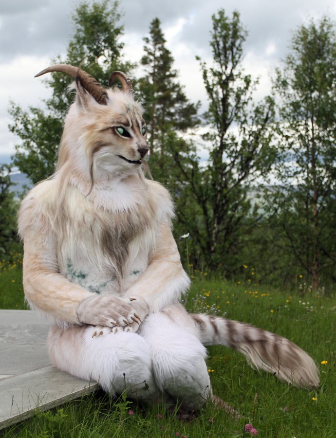 CabinCon 2015, Photoshoots