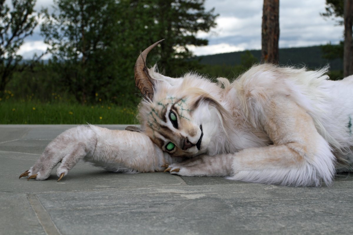 CabinCon 2015, Photoshoots