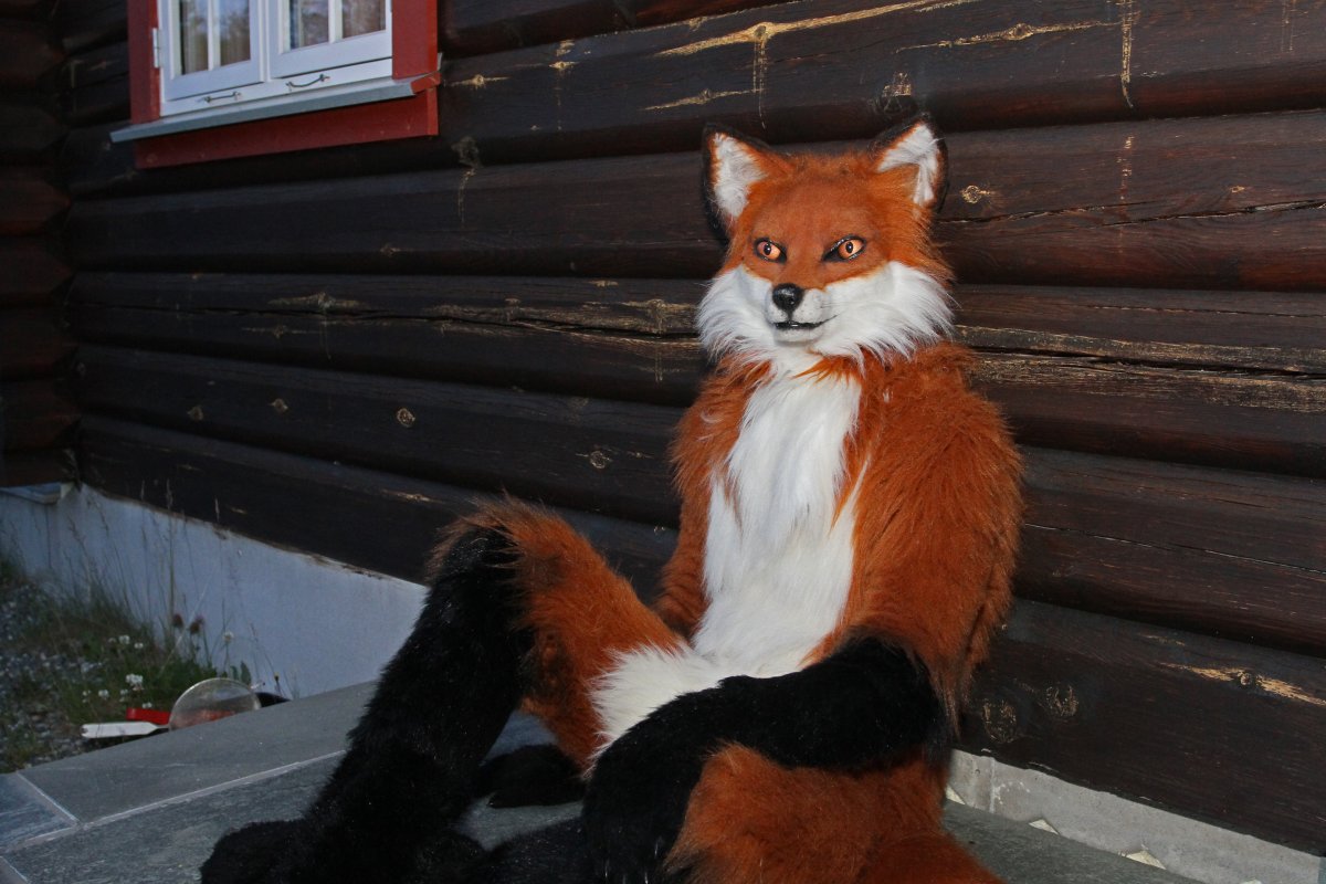 CabinCon 2015, Photoshoots