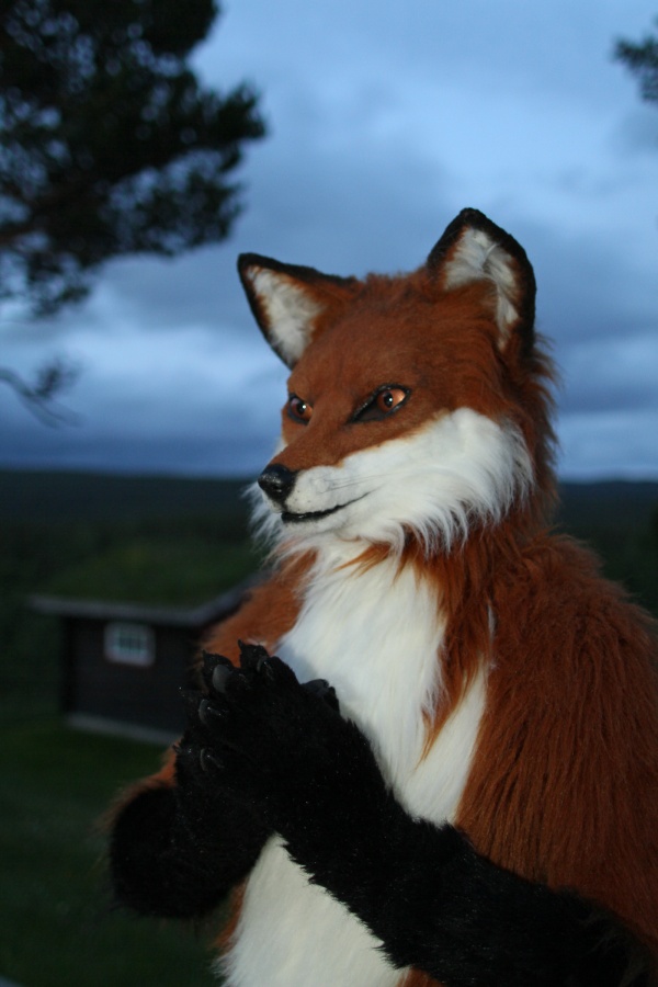 CabinCon 2015, Photoshoots