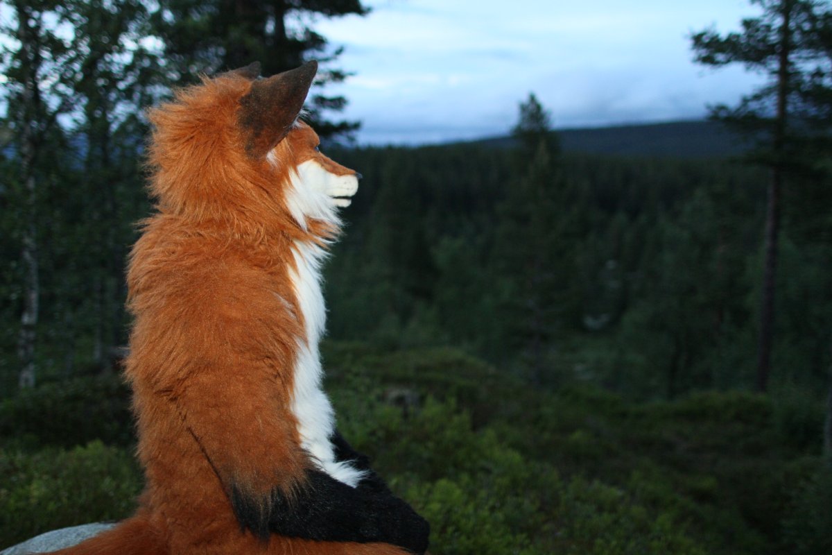 CabinCon 2015, Photoshoots