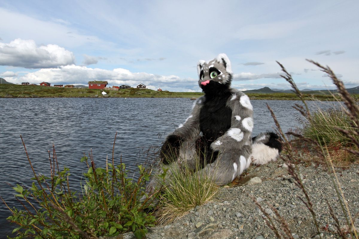 CabinCon 2015, Furry trip to mountain restaurant