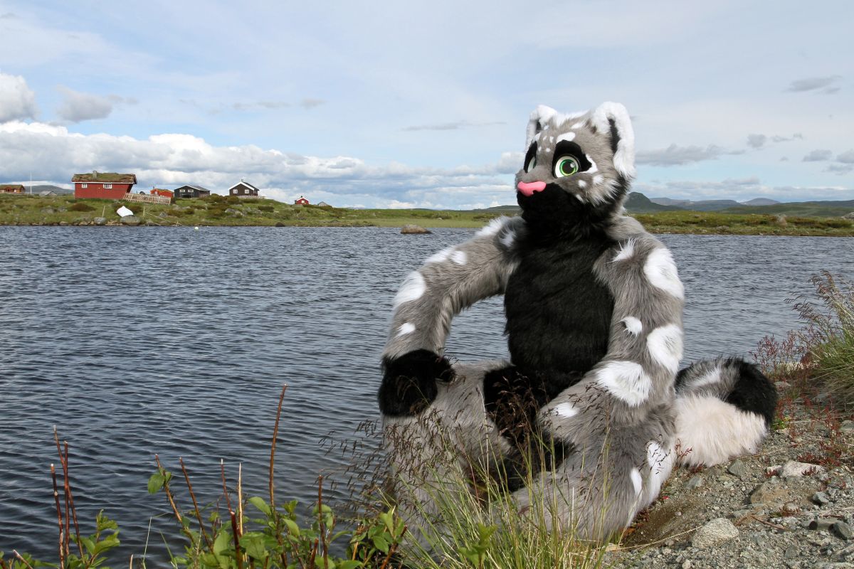 CabinCon 2015, Furry trip to mountain restaurant