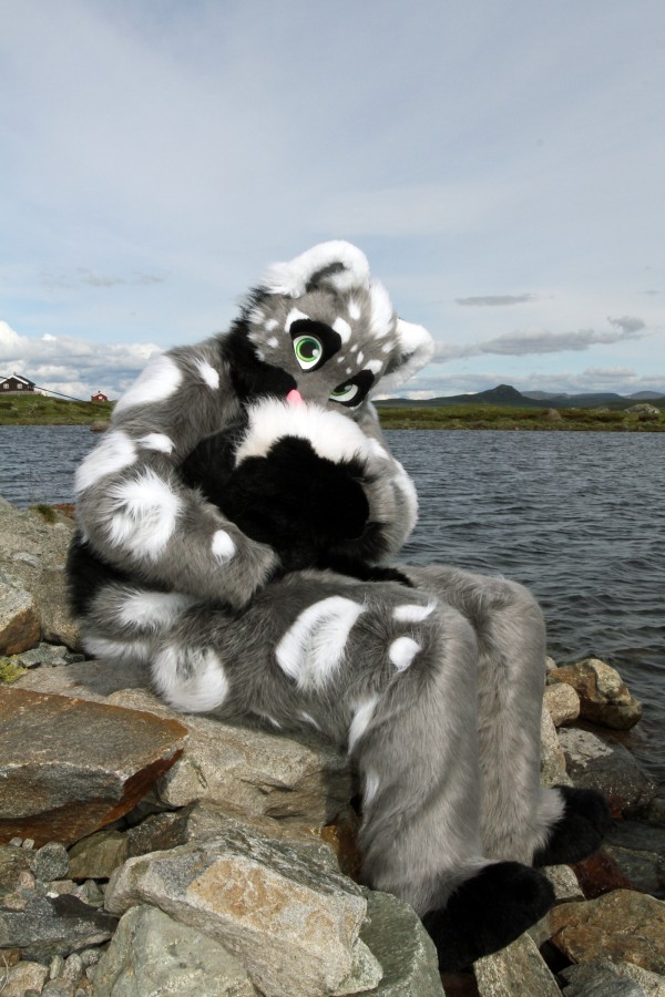 CabinCon 2015, Furry trip to mountain restaurant