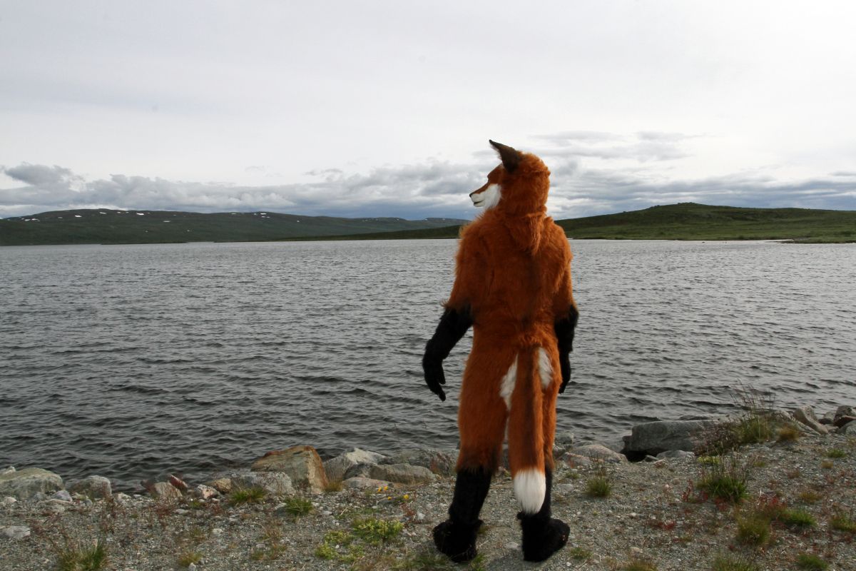 CabinCon 2015, Furry trip to mountain restaurant