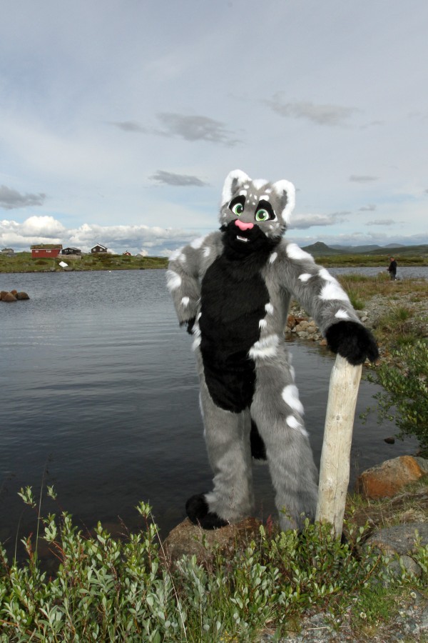 CabinCon 2015, Furry trip to mountain restaurant