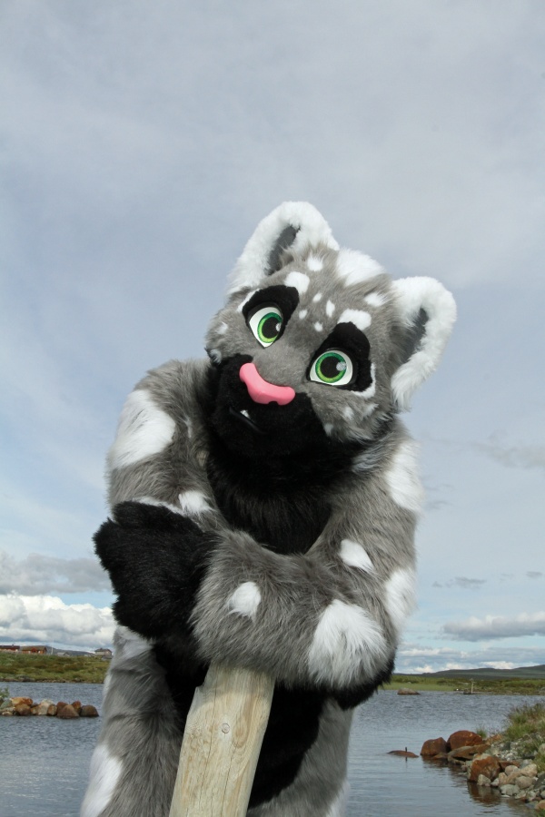 CabinCon 2015, Furry trip to mountain restaurant