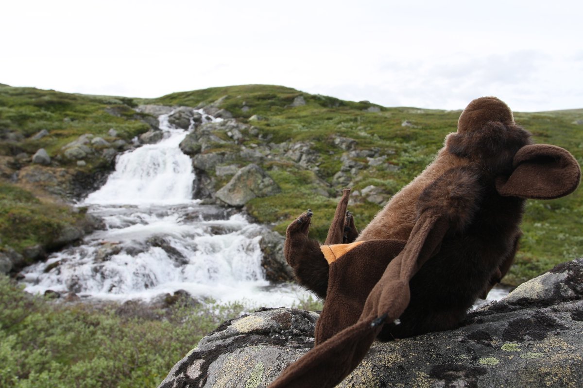 CabinCon 2015, Furry trip to mountain restaurant