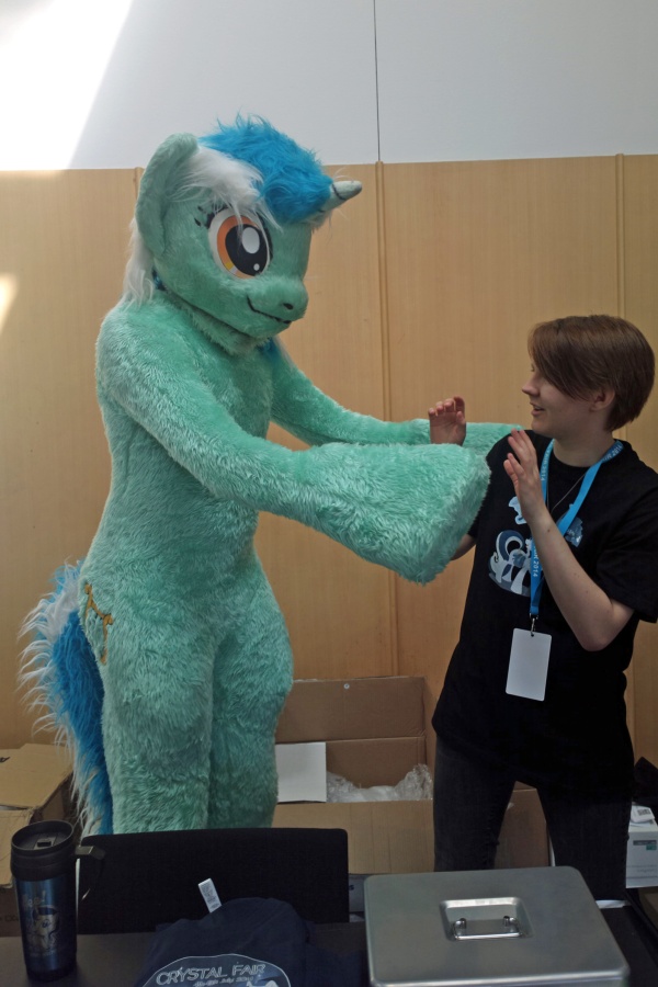 Crystal Fair 2014, Convention photos