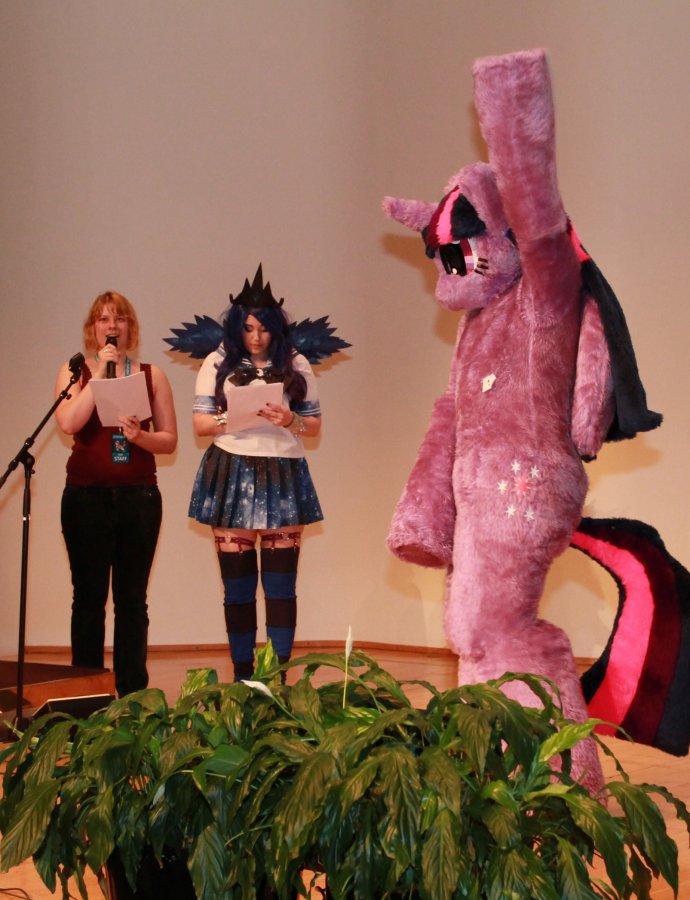 Crystal Fair 2014, Cosplay competition